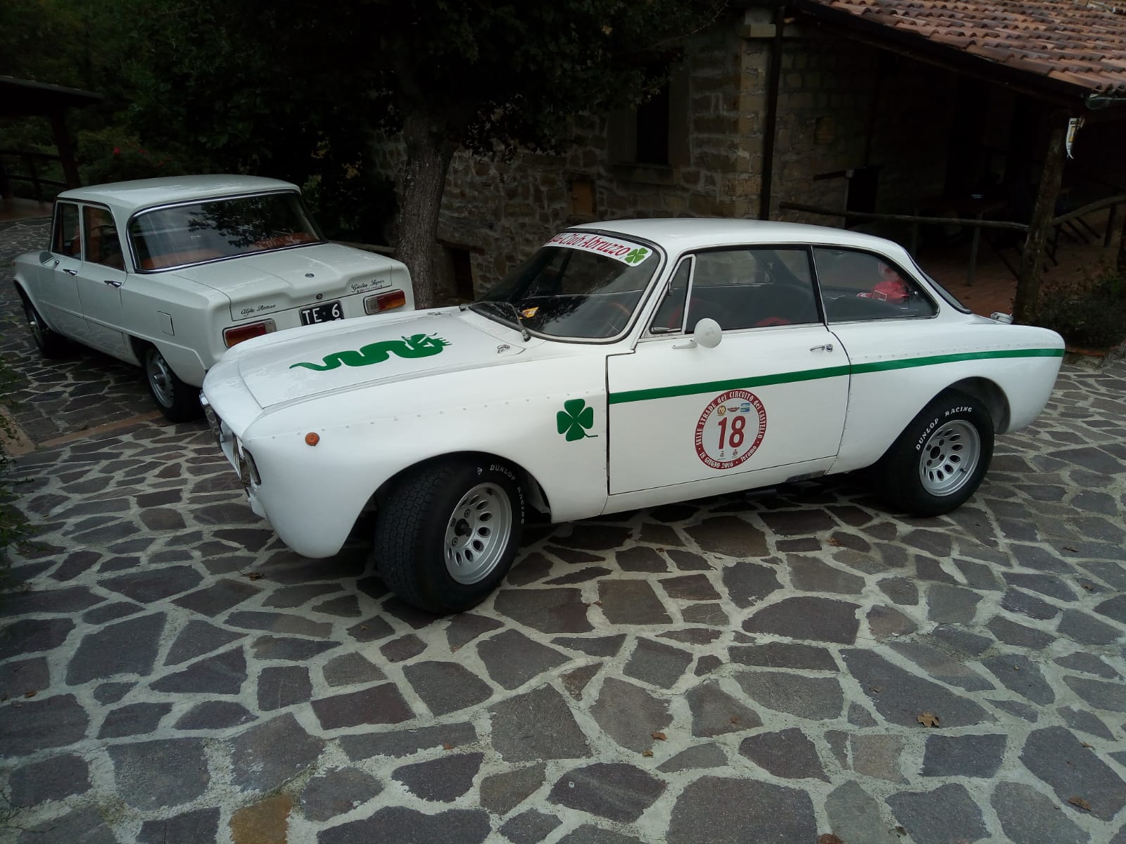 3 MEMORIAL MARCO MUZZI - AUTO STORICHE a FANO ADRIANO (TE) - fotografia 35